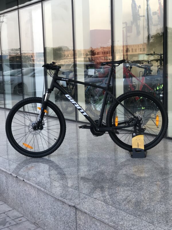 Bicycle Shop Near Me