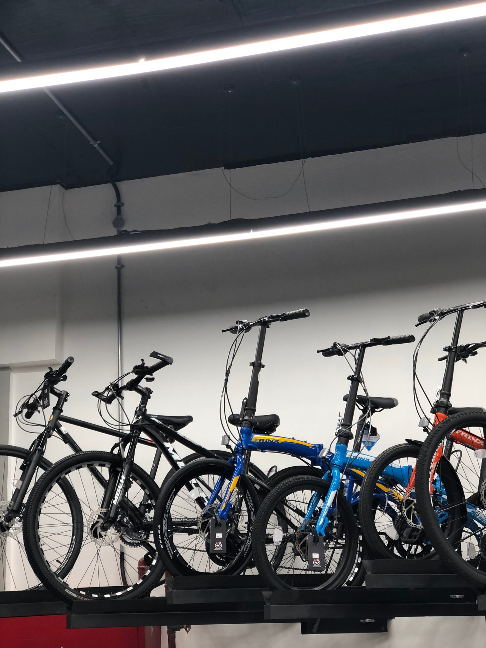 Best Bicycle shop in qatar